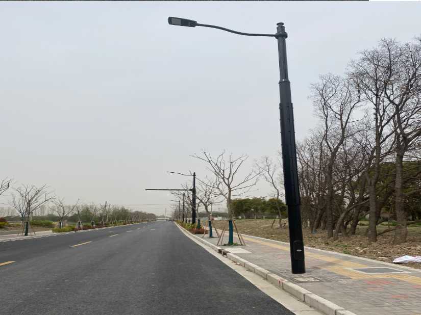 麻章区上海综合杆 太阳能路灯工程